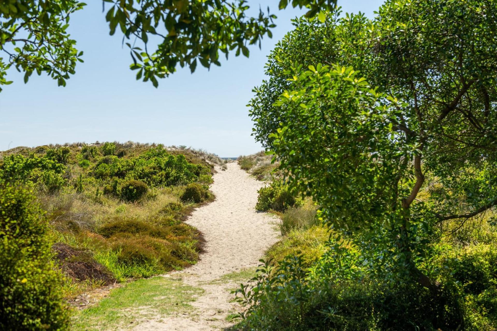 Ocean Beach Getaway Mount Maunganui Dış mekan fotoğraf